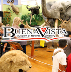 Buena Vista Museum Of Natural History