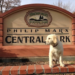 Phillip Marx Central Park