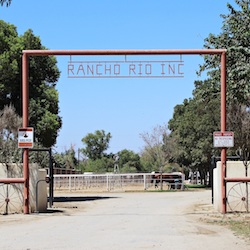 Rancho Rio Equestrian Center